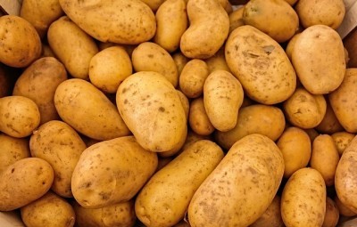 women mimic consumption of potatoes when trying to conceive