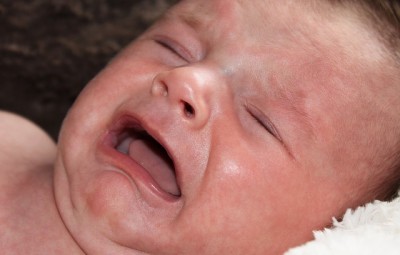 outbreak of Parechovirus newborns Queensland