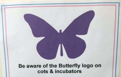 purple butterfly sticker