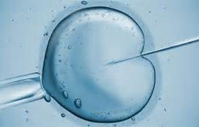 IVF Laws